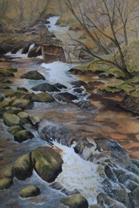 Woodland Stream by Margaret Bossom
